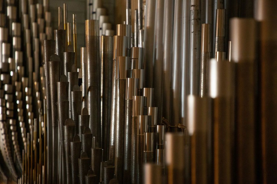 Salmen-Reuter Organ 