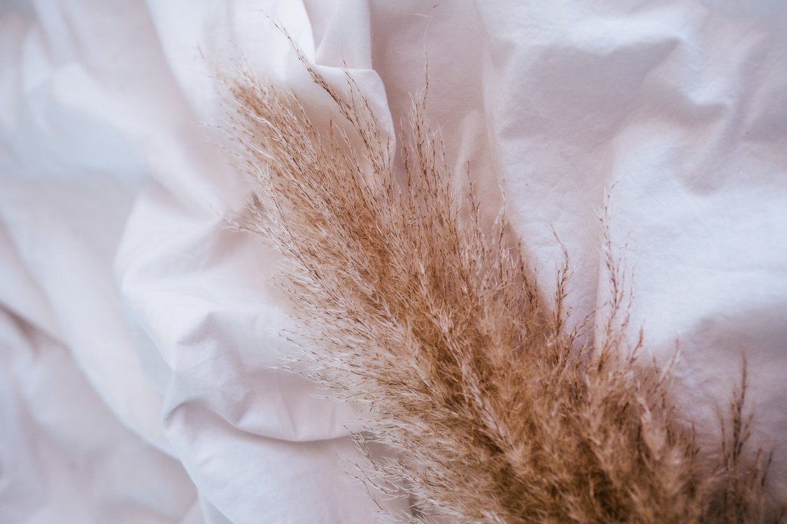 Soft feathery grass-like fibers on a clothe sheet