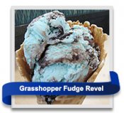 Grasshopper Fudge Revel ice cream