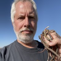 Bruce Eichhorst with a handful of red-bellied snakes
