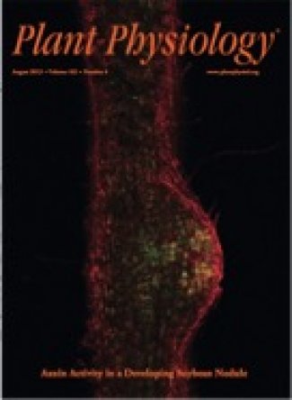 Cover image of PlantPhysiology issue - Turner et al 2013