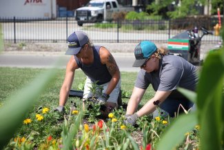 Two SDSU employees work in a flower bed on campus.