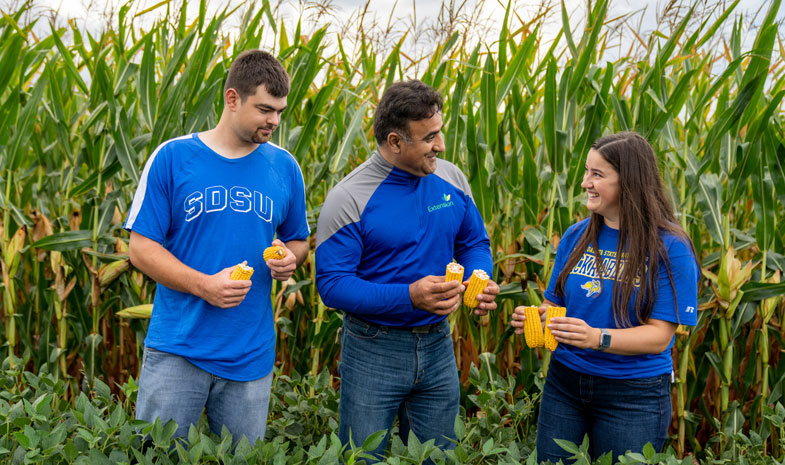 students and an instructor inspect a corn