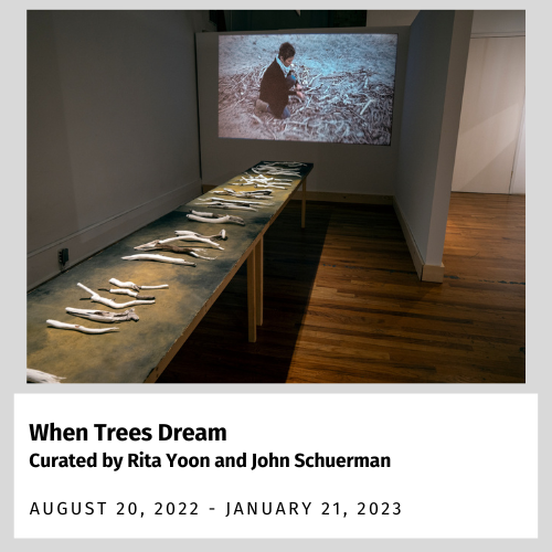 When Trees Dream: Curated by Rita Yoon and John Schuerman (August 20, 2022 - Januaury 21, 2023)
