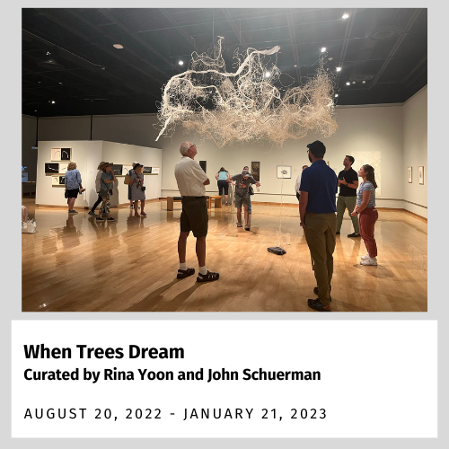 When Trees Dream - Curated by Rina Yoon and John Schuerman (August 20, 2022 - January 21, 2023)