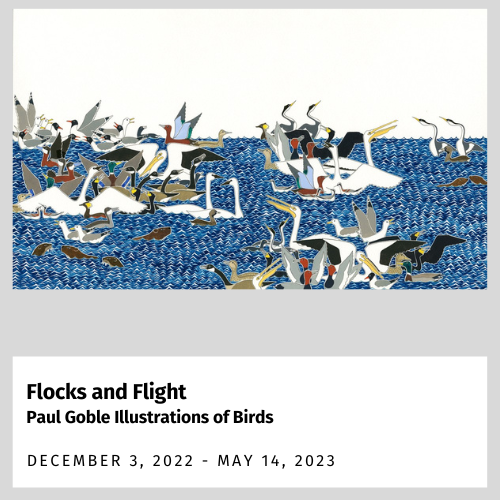 Flocks and Flight - Paul Goble Illustrations of Birds (December 3, 2022 - May 14, 2023)