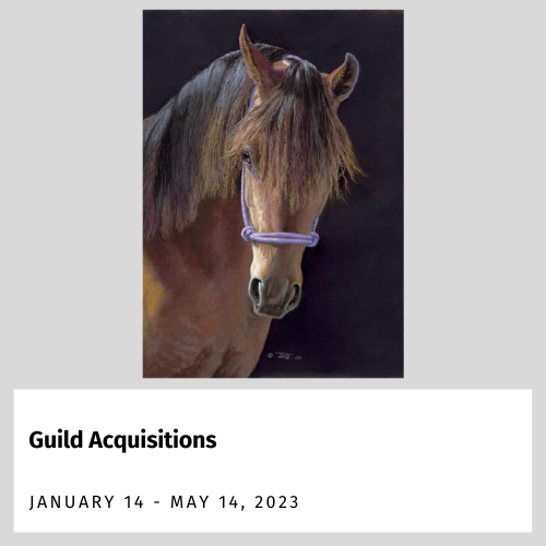 Guild Acquisitions