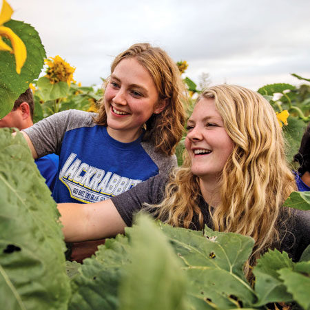 students in a sunflower field