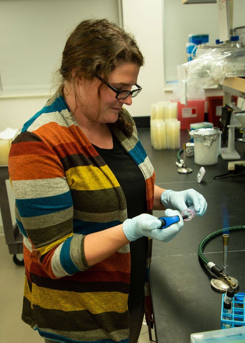 Caroline Kincade working on antibiotic resistance