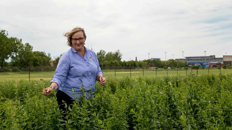 Assoc. prof. Lora Perkins in her wildflower plot