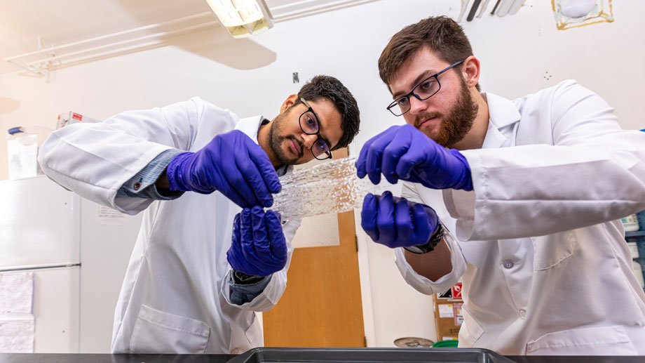 students in lab coats holding clear film 