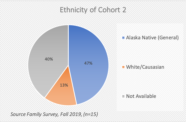 Ethnicity of Cohort 2