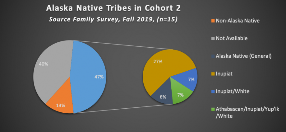 Alaska Native Tribes in Cohort 2