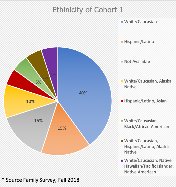 Ethnicity of Cohort 1
