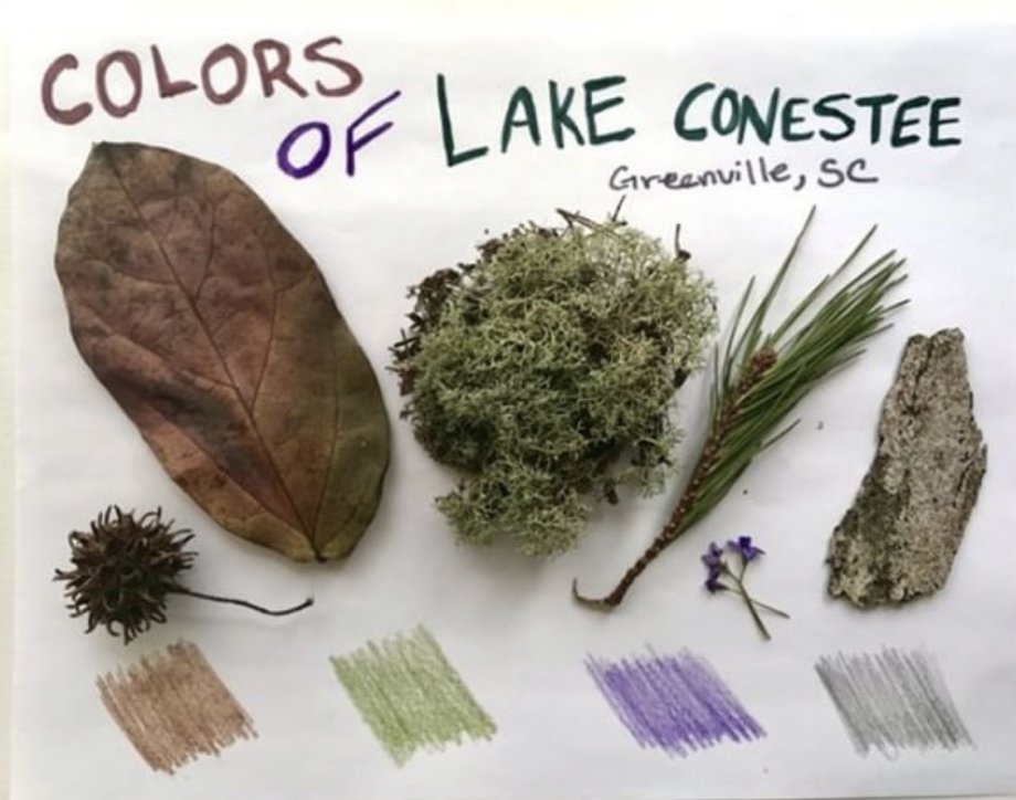 Colors of Lake Conestee
