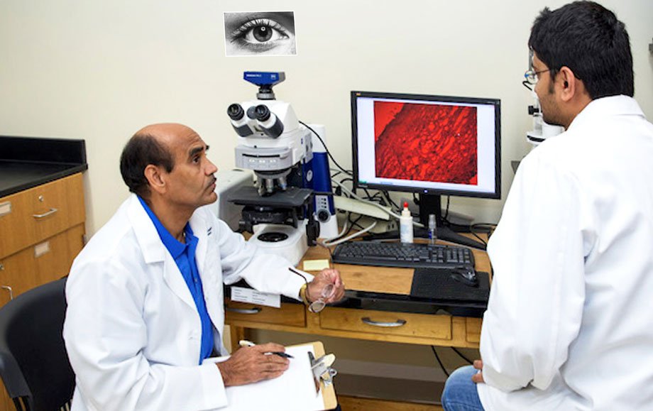 Associate professor Chandrasekher, left, talking to doctoral student Somshuvra Bhattacharya with image of human cornea cross-section on computer screen between them