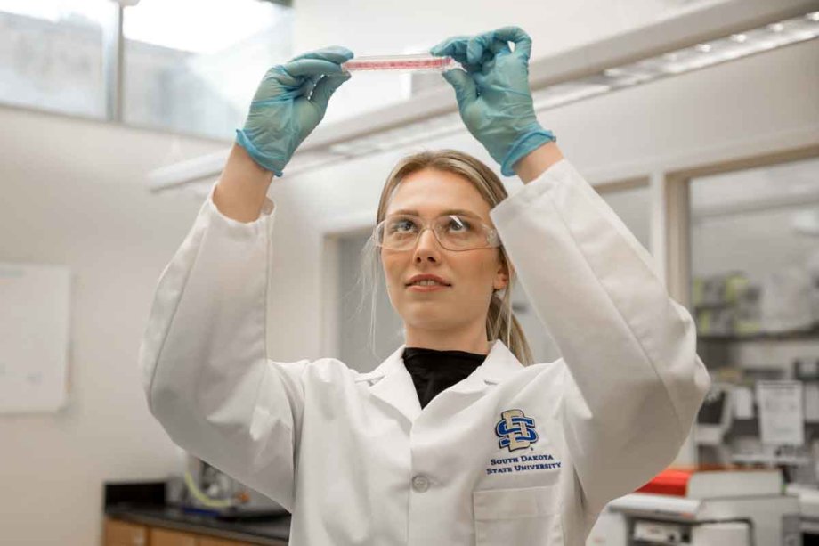 Megan Schulte is looking at a container of cells she is holding up