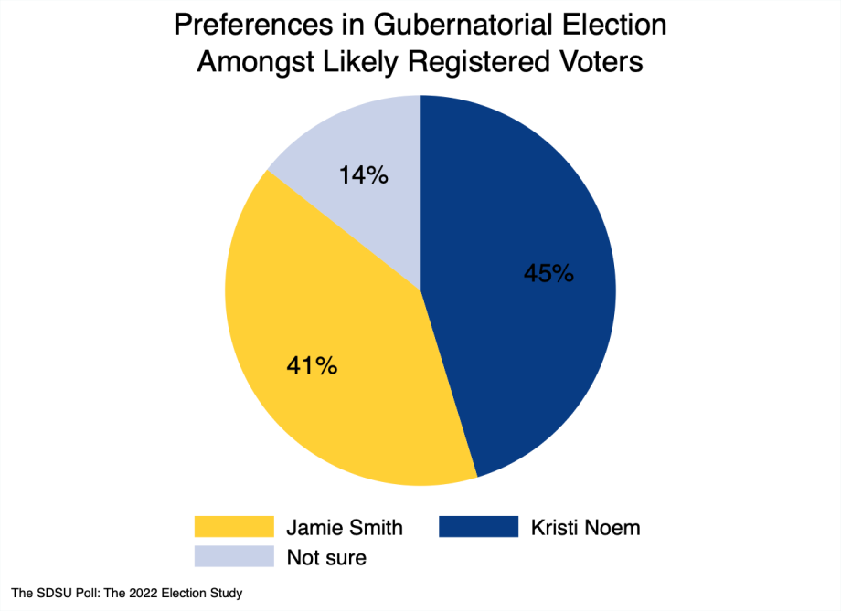 Pie chart showing 45% for Noem, 41% for Smith, and 14% undecided amongst all likely voters.