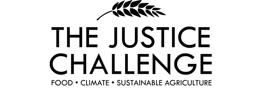Justice Challenge Logo