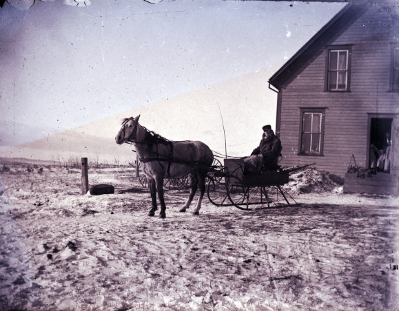 From the Frank Ross Glass Plate Negatives Collection is an image of a man in a horse-drawn sleigh during winter.