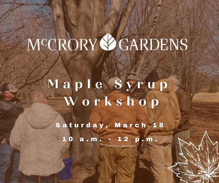 McCrory Gardens Maple Syrup Workshop Saturday, March 18 10 a.m. - 12 p.m.