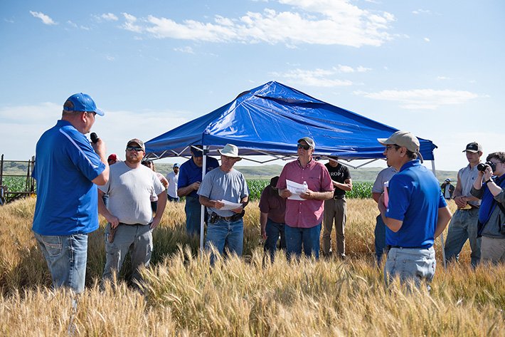 Participants gather in a wheat field at Dakota Lakes Research Farm, listening to a field day speaker.