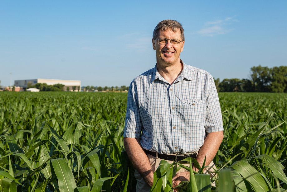 Bill Gibbons stands in a corn field.