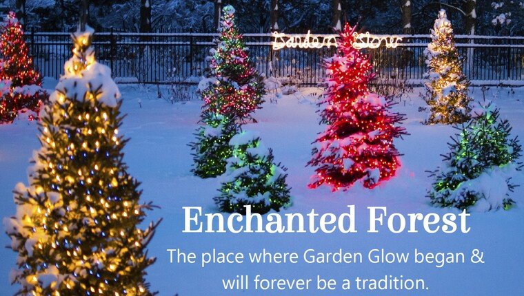 Trees covered decorated with lights at McCrory Gardens with the tag Enchanted Forest: The place with Garden Glow began and will forever be a tradition.