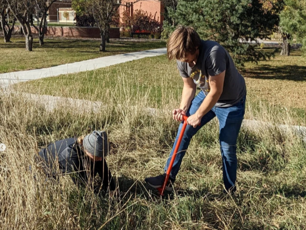 Ecology Club helps in a native plant planting on campus. One student uses a dibble to make a hole in  the ground while the other plants.