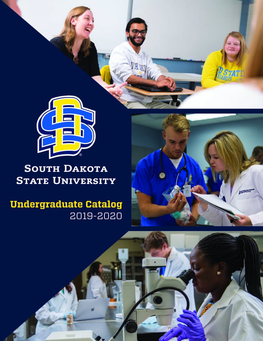 2019-2020 Undergraduate Catalog cover - students in group discussion, pharmacy and nursing students looking at medicine bottle, students in lab looking in microscopes.
