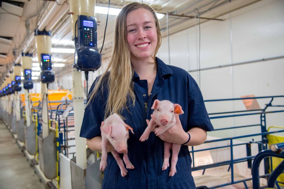 "Student holding two piglets"