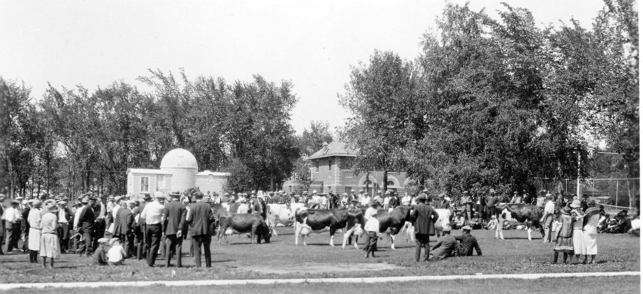 Dairy Cow Show on campus