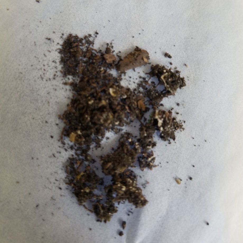 soil in which no plastic is visible