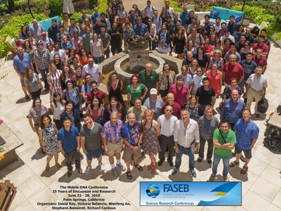 "2019 FASEB Mobile DNA Conference"