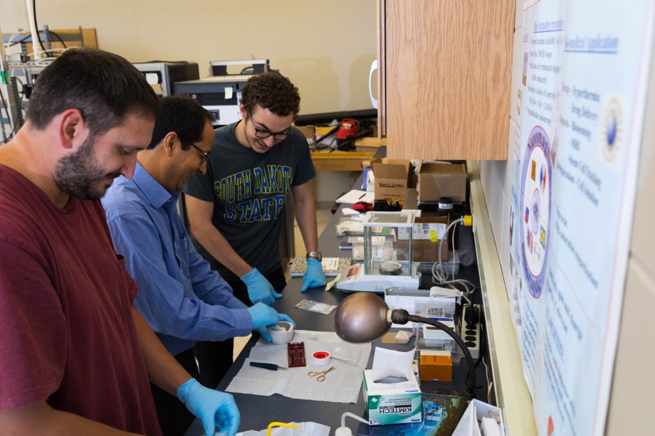 PMNDS lab: undergraduates at research