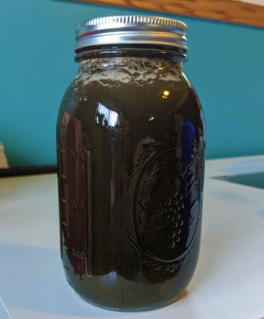 "Mason jar filled with water and soil"