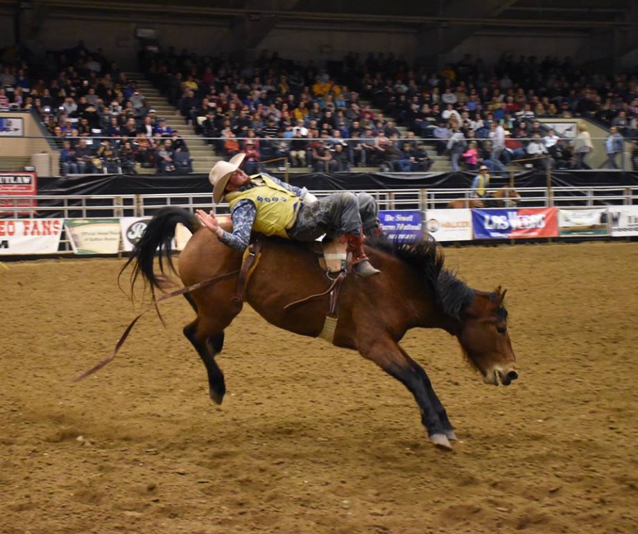 SDSU Rodeo - Cowboy on Horse in Swiftel Center