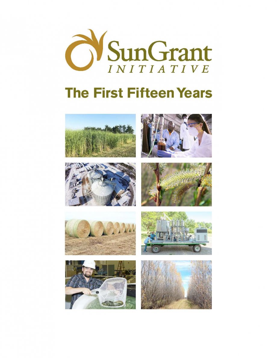Fifteen Year Report Cover