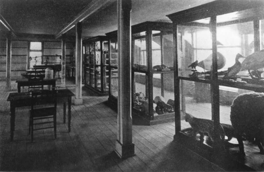 "Image of museum interior. Tables and chairs on left. Shelves with artifacts on right."