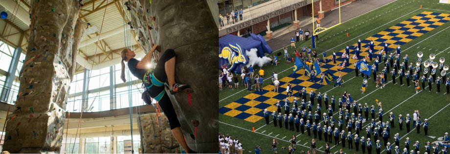 Person rock-climbing and picture of stadium with fans.