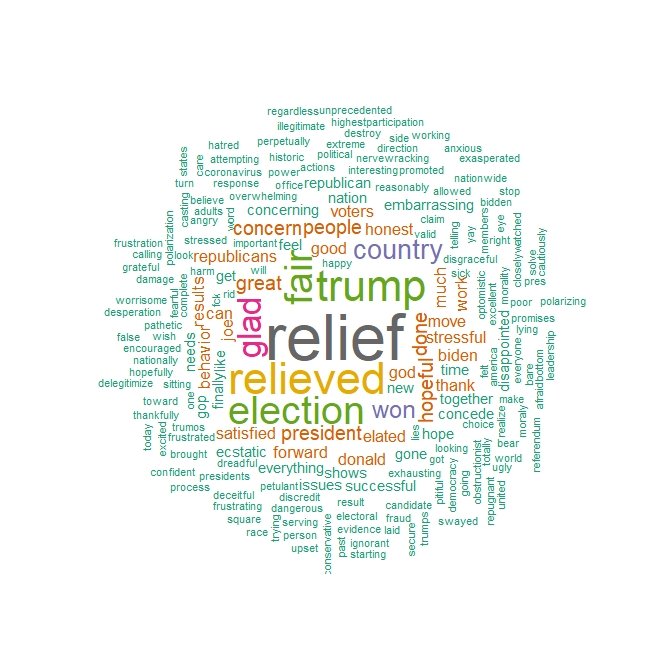 word cloud of Biden voters showing most common words about the 2020 election were “relief” “relieved” “fair”