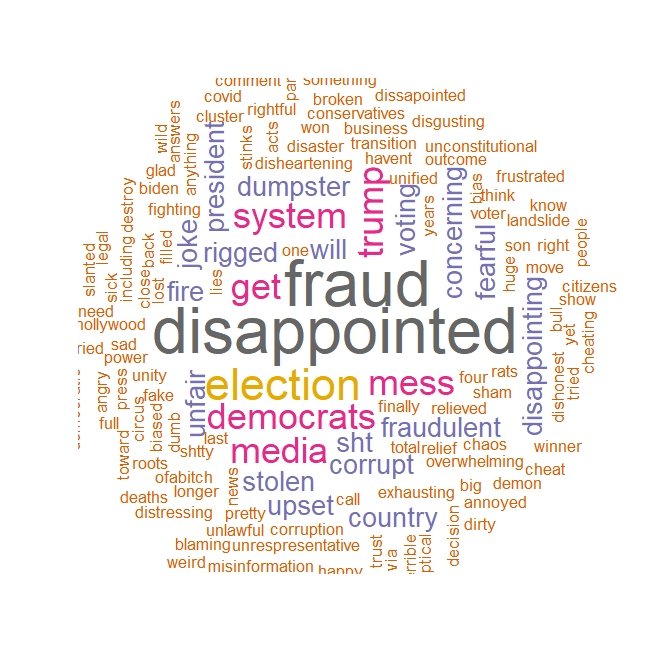 word cloud of Trump voters showing most common words about the 2020 election were “disappointed” “fraud” “mess”