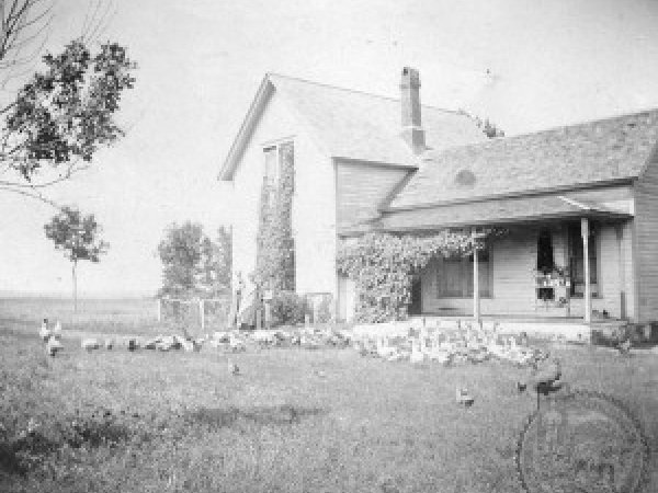 The American Farmhouse