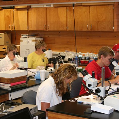 Students at a beetle workshop