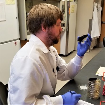 Lab employee reading e coli plate