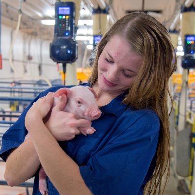 Girl holding piglet