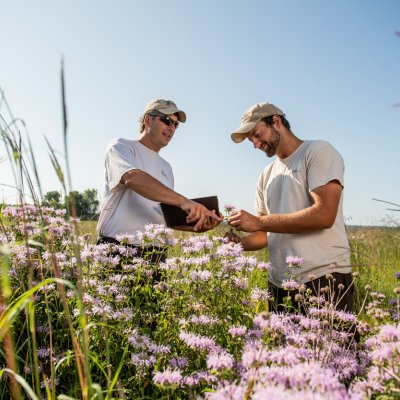 Student and instructor stand in a field looking at plants.
