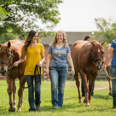Students walking with horses.