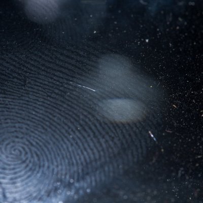 Image of a blurred fingerprint.