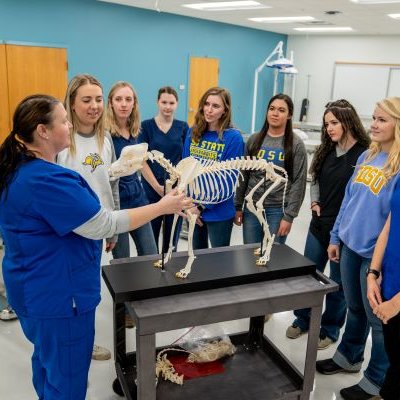 Instructor and group of students examining a dog skeleton.